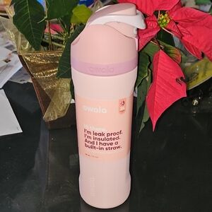 Owala Pink Insulated Straw Bottle